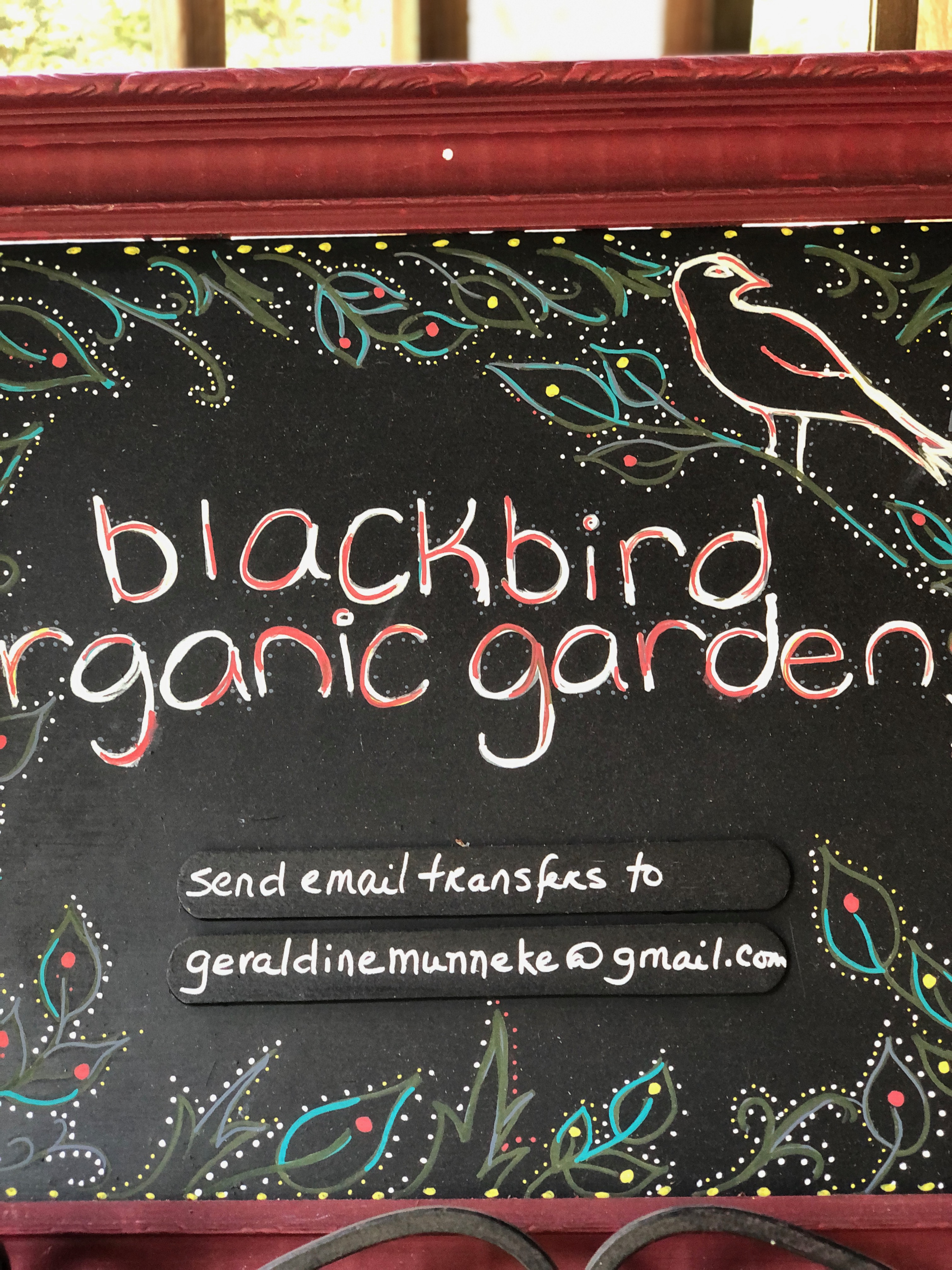 Blackbird Organic Garden