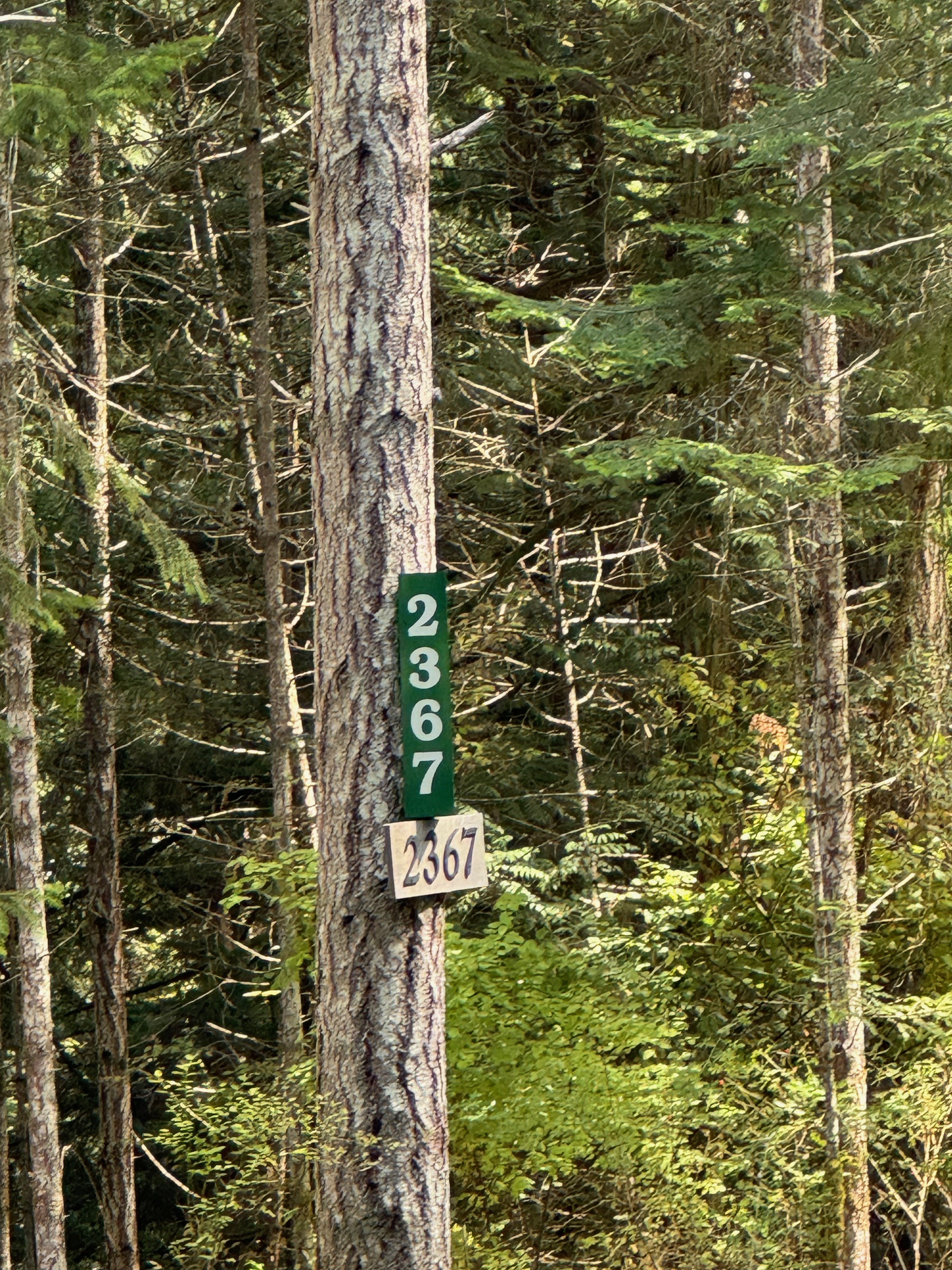 Gatien Farm Stand