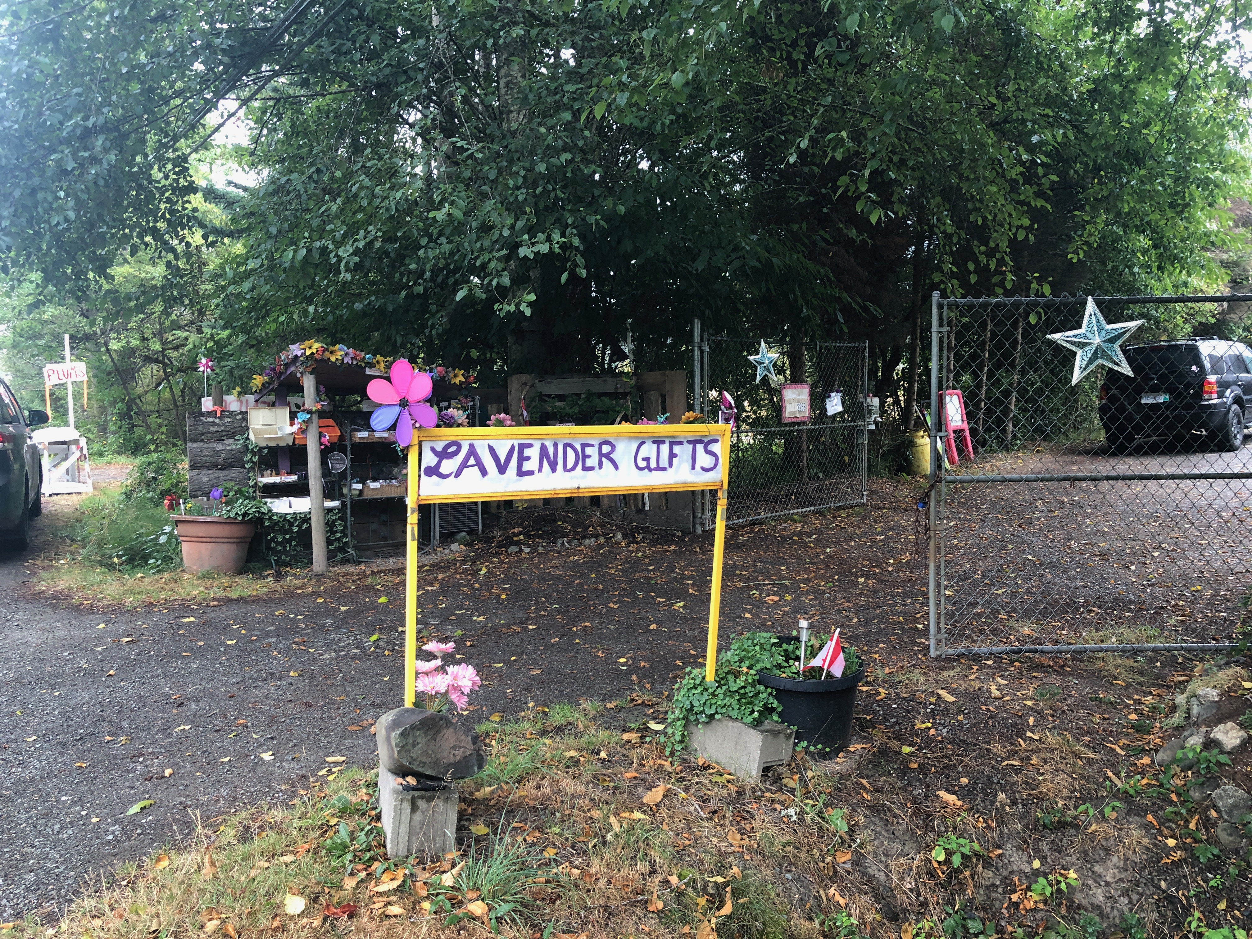 Lavender Farm Stand