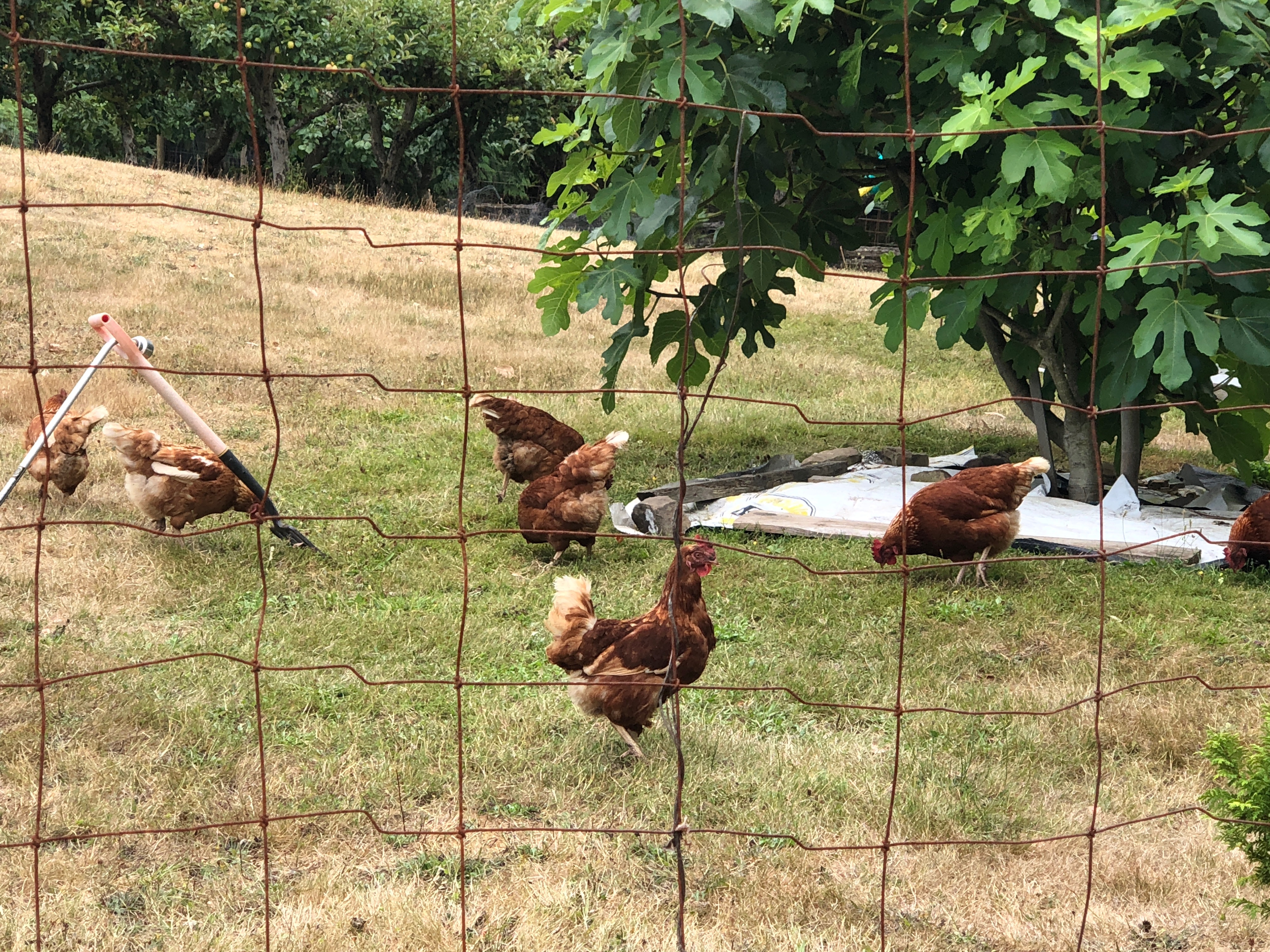 Twin Arbutus Farm Stand